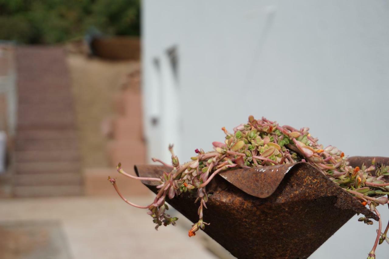 Honiggarten Dahn Esterno foto